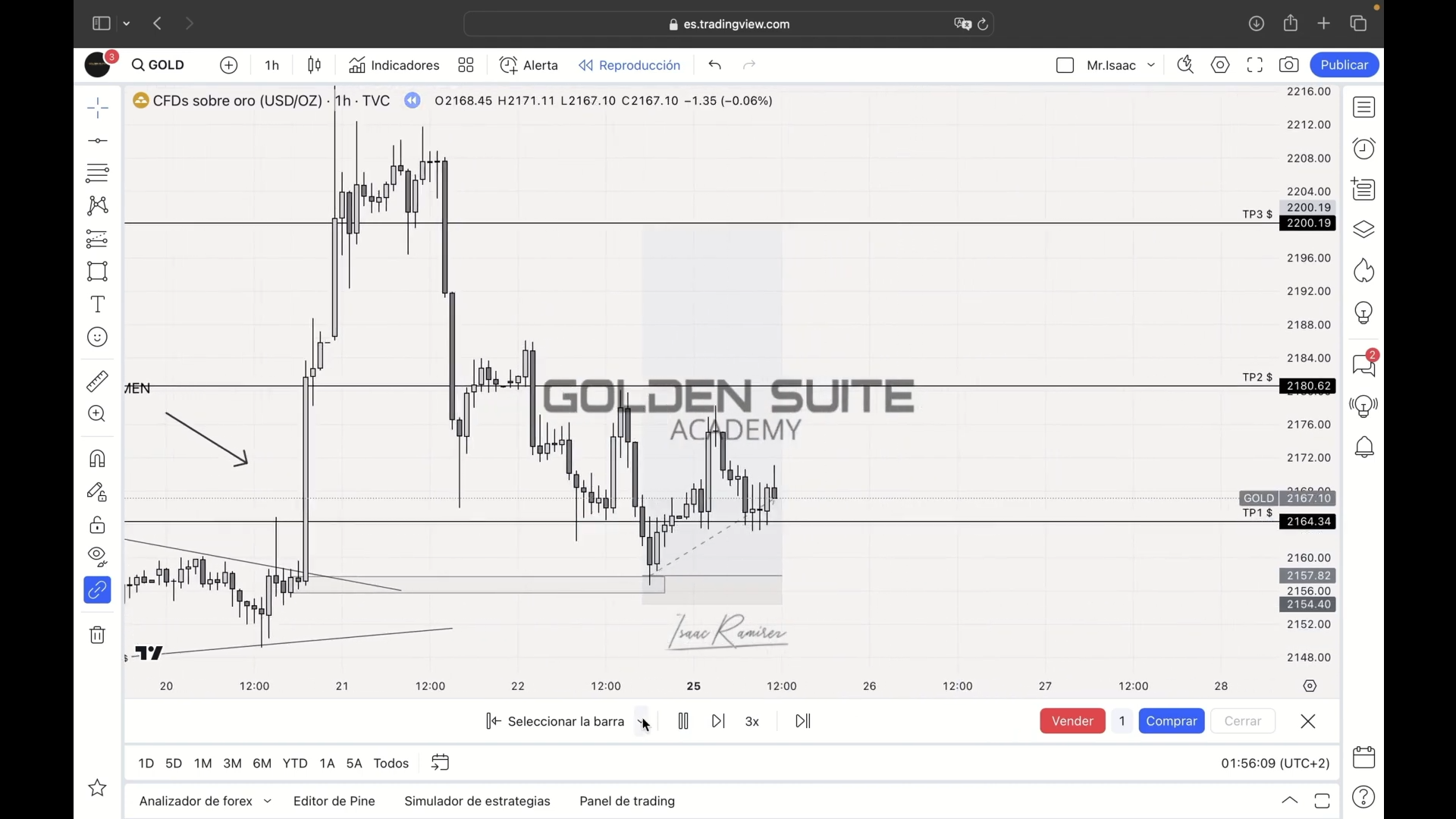 Curso Mr Isaac Ramírez 2024 - Golden Suite Academy Advance 📘📈