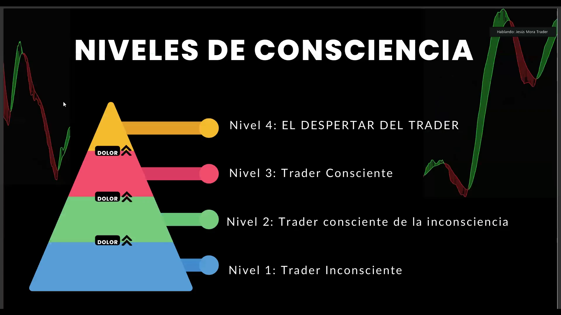 Colección 13 Cursos - Jesús Mora