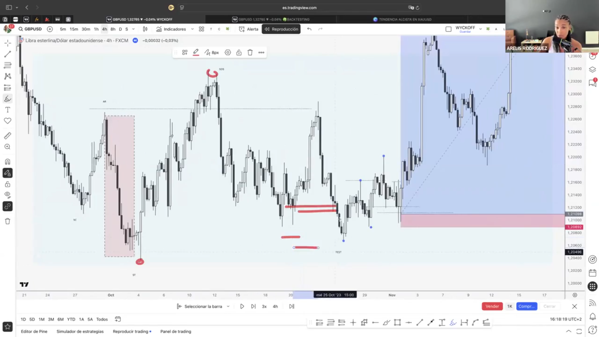 Curso Arelis Rodríguez - Gold Trading Academy 2025 📕📈