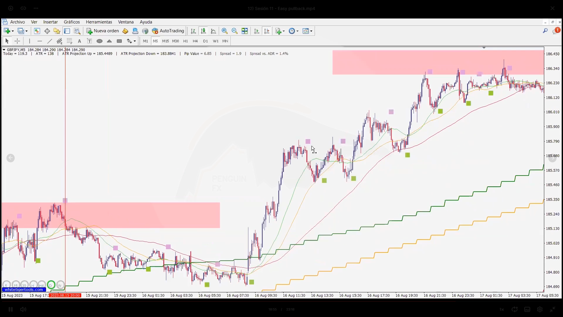 Curso Gustavo Guerra - PenguinFx Academy 📈📘