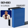 Colección 6 Cursos - Sebastián Rodríguez